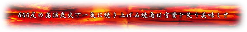 800度の高温炭火で一気に焼き上げる焼鳥は言葉を失う美味しさ