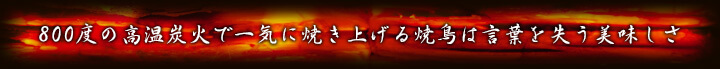 800度の高温炭火で一気に焼き上げる焼鳥は言葉を失う美味しさ